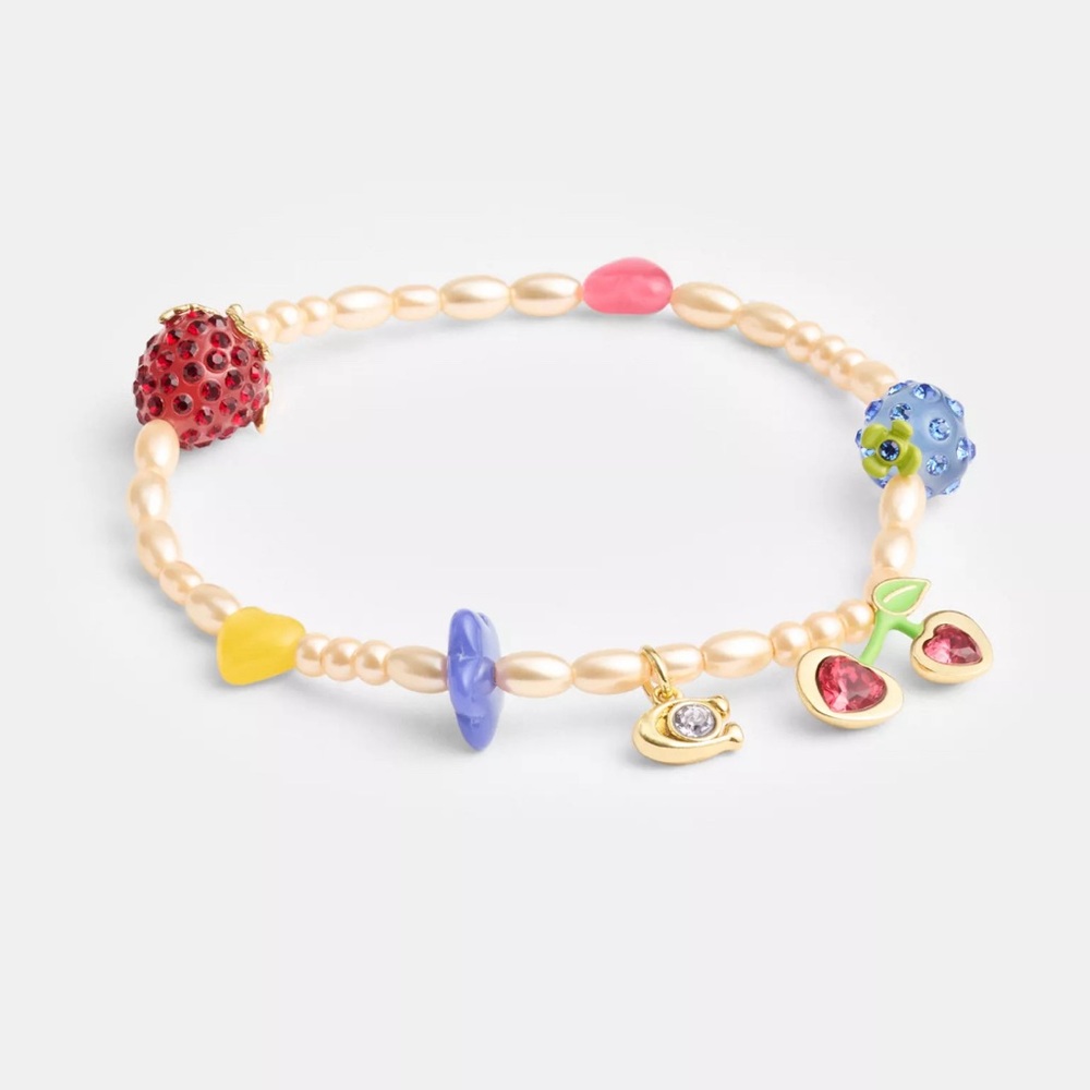 Coach Fruit Charm Bracelet,nwt !!